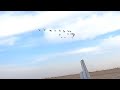 شاهد متعت الصيد الوز في العراق شاهد متعت الصيد الوز في العراق