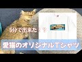 【ペットのオリジナルTシャツ】愛猫の写真でTシャツ作ってみたら超簡単でした【UNIQLO UTme】