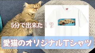 【ペットのオリジナルTシャツ】愛猫の写真でTシャツ作ってみたら超簡単でした【UNIQLO UTme】