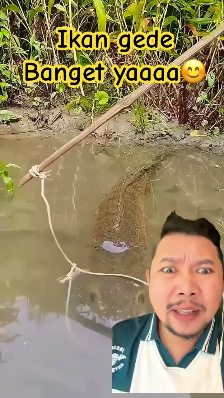 MANCING IKAN GEDE DI SUNGAI!!!?? #fishing #fish #shortsfeed #shorts