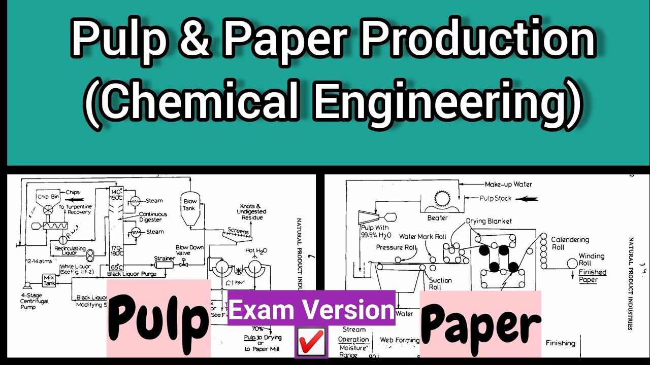 Pulp And Paper Industry Chemical Branch | Exam version | In Hindi