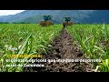 🌾 Cundinamarca: el corazón agrícola que impulsa el desarrollo - TvAgro por Juan Gonzalo Angel