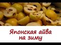 Как закрывать японскую айву на зиму