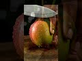 mango go go go go go how cutting ####vural