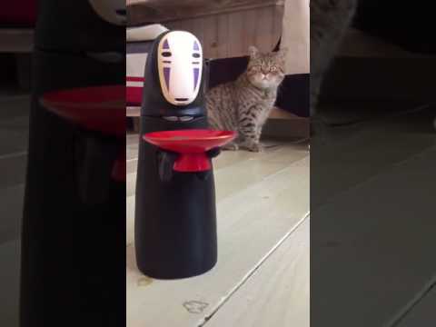 Cat stunned by No-Face toy Cat stunned by No-Face toy