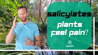 Salicylates - Plants Feel Pain?