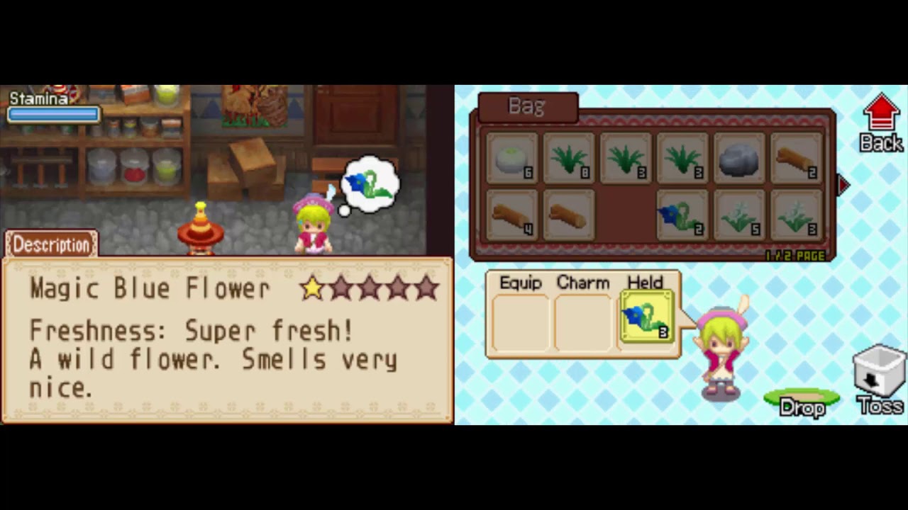 Harvest Moon Grand Bazaar Flower Festival YouTube