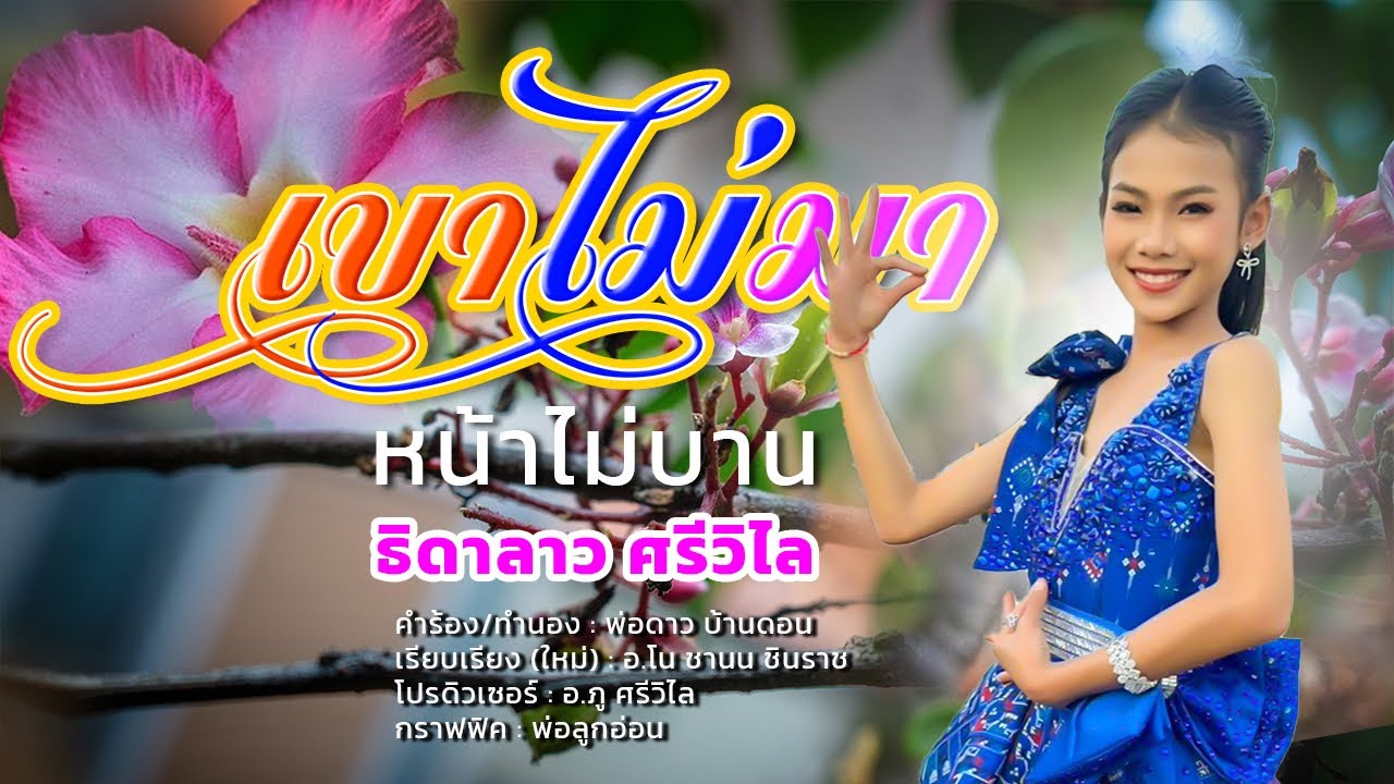 เขาไม่มาหน้าไม่บาน - ธิดาลาว ศรีวิไล 【  OFFICIAL MV  】