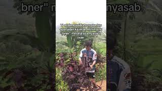 Cik Bejaan Dimana Ayana Mitoha Uing Ayana reels reels viral semuaorang aasunda