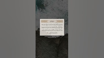 ومايستوي البحران هذا عذبٌ فراتٌ : من سورة فاطر / القارئ ياسر الزيلعي..