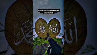 La Ilaha Illallah muhammadur rasulullah #status #islamic #KNLIslam