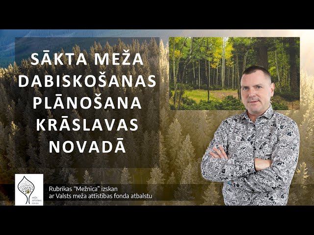 Sākta meža dabiskošanas plānošana Krāslavas novadā (16.10.2023.) // MEŽNĪCA