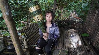 Orphan Life survival alone in the rainforest - Harvesting fish and cooking - Living with puppy