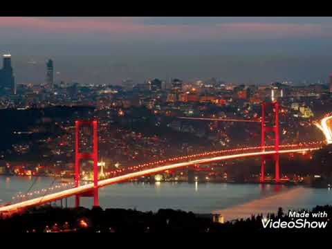 ابو بكر سالم بلفقيه يقول اني فضلت مسرع 