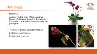 127.UJ online lectures: Basic theory 32-The aetiology of CMA 1 Genereal introduction