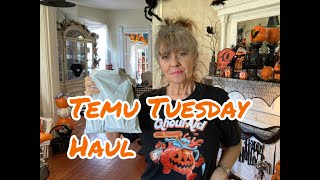 Temu Tuesday Haul  Oct. 2025