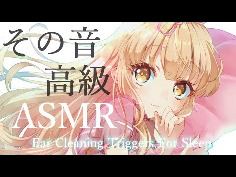 [ASMR] 100万円マイク、高音質過ぎて本当に傍にいるような囁き吐息の熟睡音。耳かき、頭皮、耳スキンケア Sleep, Relax【Vtuber/KU100/睡眠導入】