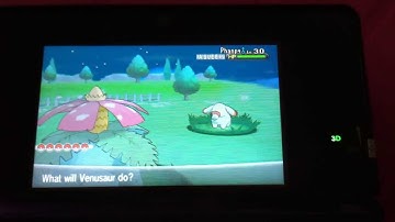 Shiny Phanpy Appear in Friend Safari