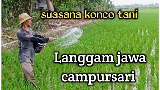 Langgam Langgam jawa campur sari musik lawas konco tani temen ngopi suasana di sawah