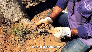 How to set a Wild Dog Trap - Flat Set