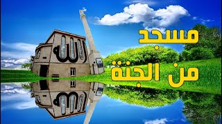 مسجد تركي الهمت تصميمه اية قرانية - مسجد حميدية