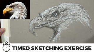 How to Draw an EAGLE  Timed Sketching Exercise