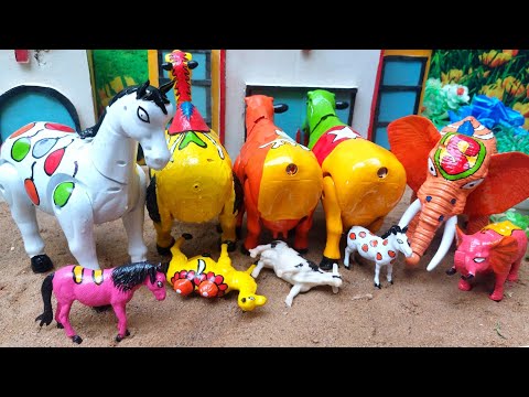 WADIDAU🤩💞‼️PROSES‼️POTONG SAPI🐄🦌🐫🐘‼️KURBAN‼️Sapi videos 984