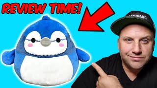 Watch BEFORE Buying Babs The Bluejay Squishmallow!