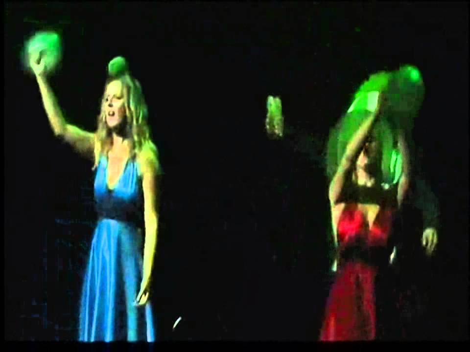 Graffiti Classics  - Acoustic String & Vocal Show