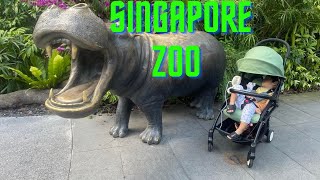 Singapore Zoo Uelles Sg Trip
