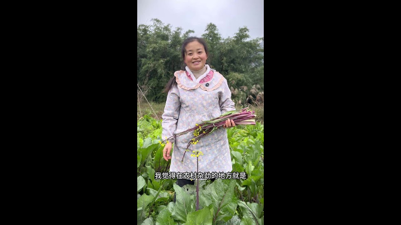 雷勇买了几颗金弹子回来，川南看见后对树型不太满意，中午吃饭时婆婆惦记起这个菜来！#新农人计划2025#抖音乡村生活家