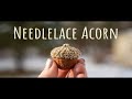 Turn Your Felt Scraps into this Scrumptious NeedleLace Acorn
