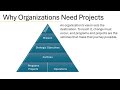 Episode 1: What is a Project? Why Organizations Need Them?
