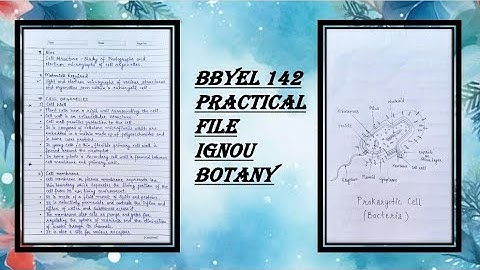 BBYEL 142 PRACTICAL FILE IGNOU BOTANY | DIAGRAMS AND HANDWRITTEN WORK