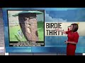 BIRDIE THIRTY: "Scouring man-made holes in the “bark” of this feeder" - EWN at 5:30am on 9-20-202...