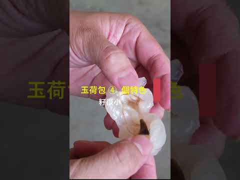 ▎知果堂台灣水果教室 ▎玉荷包是荔枝的一個品種，主要產區以高雄大樹、台南楠西、屏東南區為主，其中大樹產量最多，具備焦核化小籽特色備受喜愛。 不過要宣導一下，焦核化是機率問題，非100%小籽。