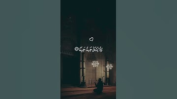 اكتب شيء تؤجر عليه ⧸⧸ القارئ ماهر المعيقلي راحه لقلبك ❤️‍🩹😴