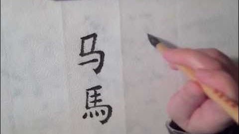 Write Chinese 马mǎ   horse