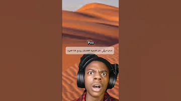 غالتيدا 
