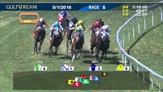 Gulfstream Park Race 5 | May 1, 2016