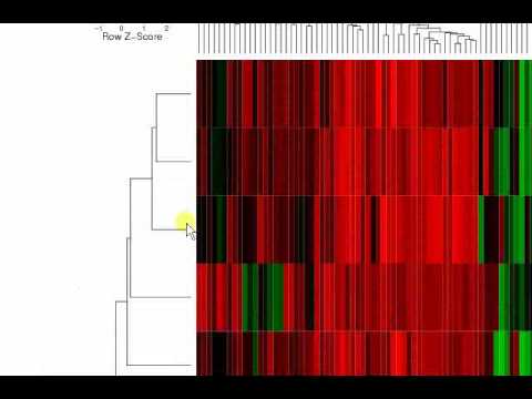 Arraymining.net - Gene selection module