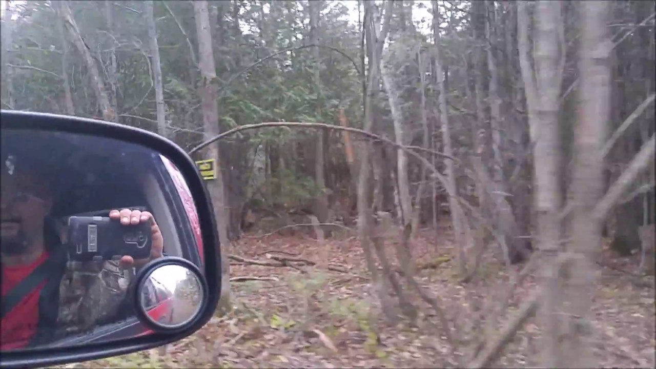 video phone beyonce mp3 exploring the back roads