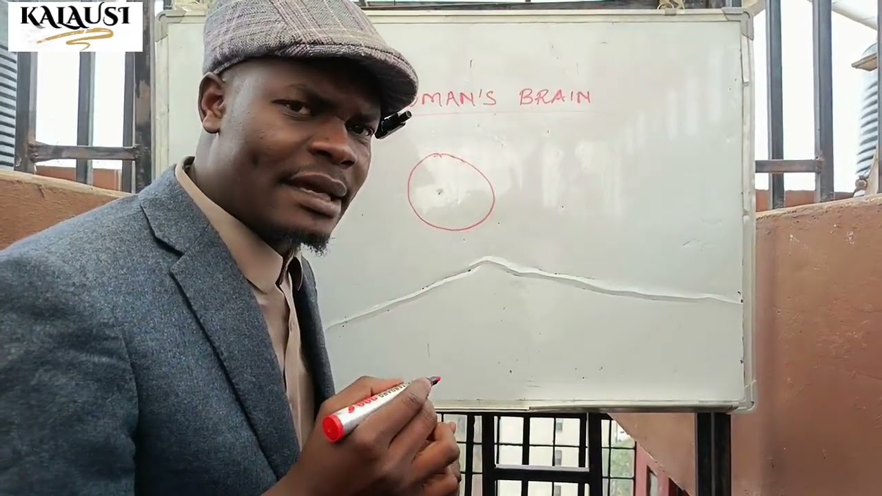 A woman's brain is divided into two parts 😂|must watch 
