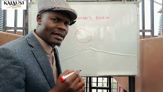 A woman's brain is divided into two parts 😂|must watch #trending #comedy #viral @AwinjaNyamwalo 