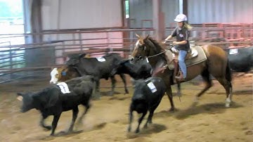 April With A Twist - 5/30/12 sorting practice 1 -  Valley View Ranch