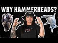 The Evolution of the Hammerhead (sharks & more!) | Lindsay Nikole
