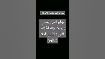 #ااقران الكريم سورة المومنون الاية 80.       #المقرى رضا عبد المحسن