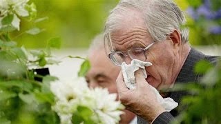 Will a Long Winter Mean a Bad Allergy Season?