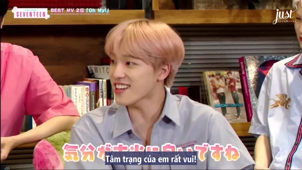 [VIETSUB] Best Song và Best MV do chính SEVENTEEN bình chọn