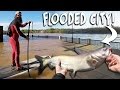 Fishing in a Flooded City! - Vlog (SUP River Fishing) | DALLMYD